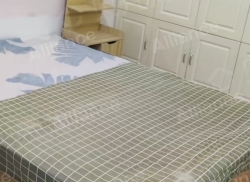 整租·兴凯家园 2室1厅 南_兴凯家园租房