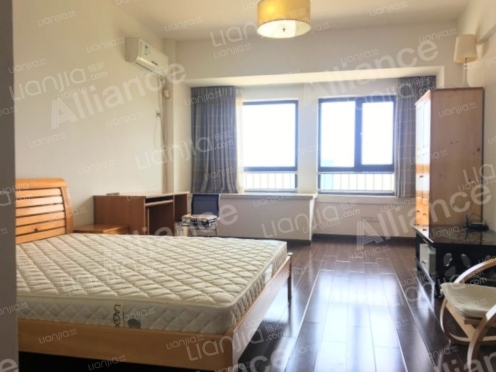 整租·积玉桥万达SOHO 1室0厅 东