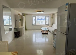 整租·村和新居 2室1厅 南/北_村和新居租房