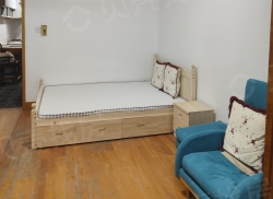 整租·临沂一村 1室1厅 南_临沂一村租房