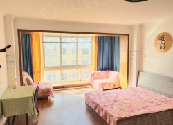 整租·平安西区 1室0厅 南_平安西区租房