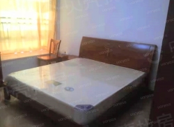 整租·诚丰新园 3室2厅 东南_诚丰新园租房