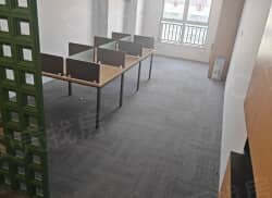 整租·月星国际 1室1厅 西_月星国际租房