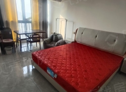 整租·润达国际 1室1厅 南_润达国际租房