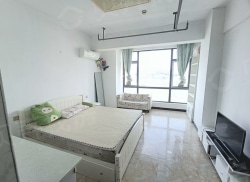 整租·长虹金域中央 1室0厅 南_长虹金域中央租房