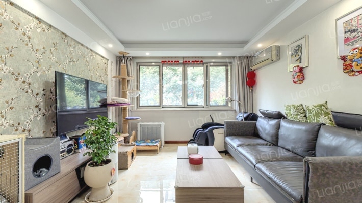 曹杨新苑二手房实景图