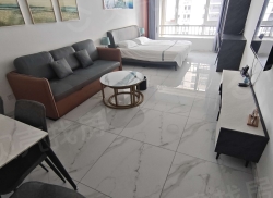 整租·中交碧桂园·逅海 1室0厅 南_中交碧桂园·逅海租房