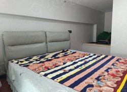 整租·中东港 1室1厅 南_中东港租房