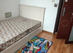 整租·西都名苑 1室0厅 东南_西都名苑租房