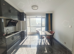 整租·中金公元启城 1室1厅 南_中金公元启城租房