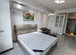 整租·绿地中央广场铂派公寓 1室1厅 北_绿地中央广场铂派公寓租房