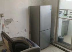 整租·新柳街小区 1室1厅 东_新柳街小区租房