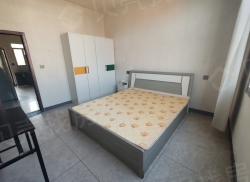 整租·顺城西路 1室1厅 东_顺城西路租房