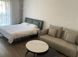 整租·玖沐雨林 1室1厅 东南_玖沐雨林租房