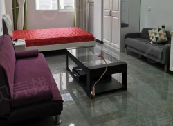 整租·置地·天中第一城北苑 1室1厅 南_置地·天中第一城北苑租房