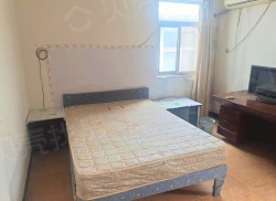 整租·海青东巷 1室1厅 南_海青东巷租房