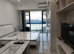 整租·滨江首府 1室1厅 南_滨江首府租房