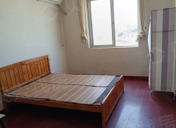 整租·莲花集镇社区 2室2厅 南_莲花集镇社区租房