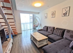 整租·洱海国际生态城 1室1厅 东_洱海国际生态城租房