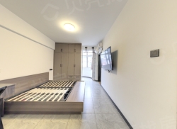 整租·新荷花园 1室0厅 南_新荷花园租房