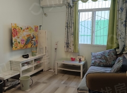 整租·新街 2室1厅 南_新街租房