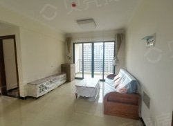 整租·海湾雨林 2室2厅 南/北_海湾雨林租房