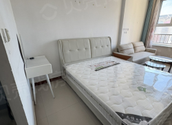 整租·奥林花园 1室1厅 南_奥林花园租房