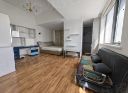 整租·绿地领海公寓 1室0厅 东/南_绿地领海公寓租房