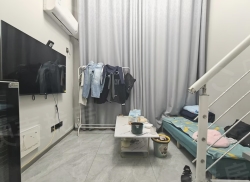 整租·欢乐Park商业广场 1室0厅 南_欢乐Park商业广场租房