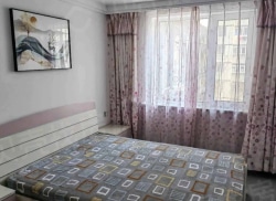 整租·四街大院胡同 1室1厅 南_四街大院胡同租房