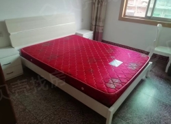 整租·和谐苑 2室2厅 南_和谐苑租房