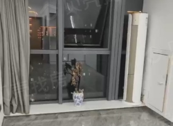 整租·维多利·摩尔城 1室1厅 南_维多利·摩尔城租房