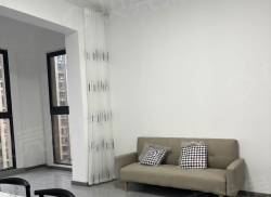 整租·上海广场 2室2厅 南_上海广场租房