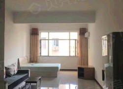 整租·盛世银座 1室1厅 南_盛世银座租房