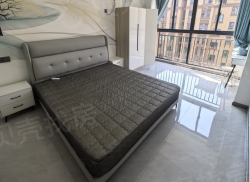 整租·新城雾山嘉园 3室1厅 南_新城雾山嘉园租房