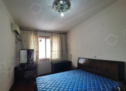 整租·龙苑 3室2厅 东北_龙苑租房