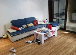 整租·锦城银座 2室1厅 南_锦城银座租房