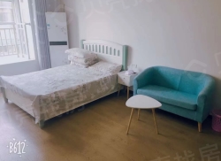 整租·华茂1958C区 1室1厅 东南_华茂1958C区租房