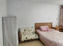 整租·菜市小区 1室1厅 南_菜市小区租房