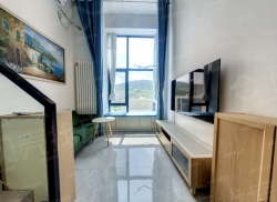 整租·山东大学国家大学科技园 1室1厅 南/北_山东大学国家大学科技园租房