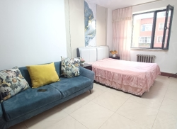 整租·阿尔丁大街10号街坊 2室1厅 南/北_阿尔丁大街10号街坊租房