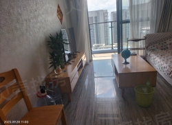 整租·小径海岸城花园 1室1厅 南_小径海岸城花园租房