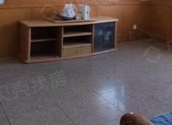 整租·建材厂家属院 2室1厅 西南_建材厂家属院租房