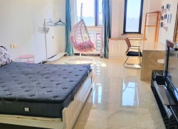 整租·铂蓝郡伦敦街 1室1厅 南_铂蓝郡伦敦街租房