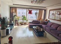 整租·振兴商业村 2室1厅 南/北_振兴商业村租房