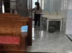 整租·黄金康居三期 3室2厅 南_黄金康居三期租房