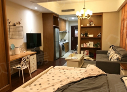 整租·环球金融城 1室1厅 南_环球金融城租房