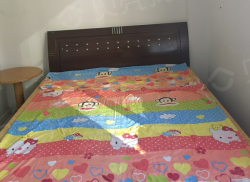 整租·金叶东方明珠 1室0厅 南_金叶东方明珠租房