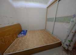 整租·天府西成 1室1厅 南/西南_天府西成租房