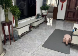 整租·茂源景城 3室2厅 南_茂源景城租房